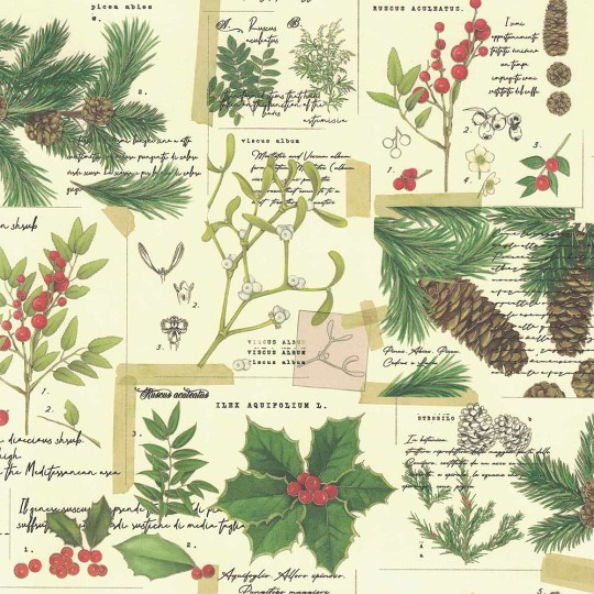 Botanical Christmas Greenery Paper ~ Kartos Italy